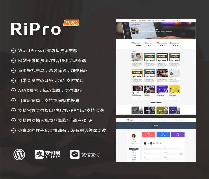 ripro9.0子极致美化主题+修复包-源码分享网